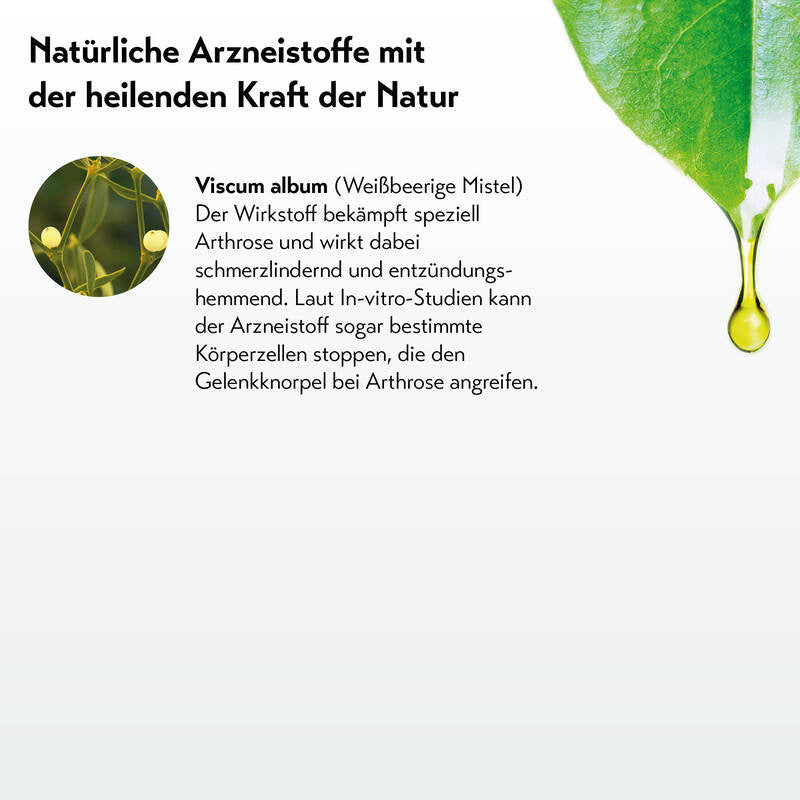 RUBAXX ARTHRO