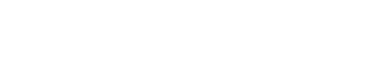 Partner 4 Logo