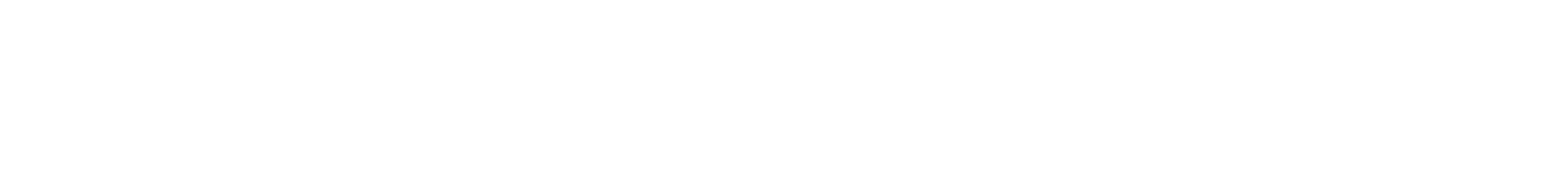Partner 8 Logo