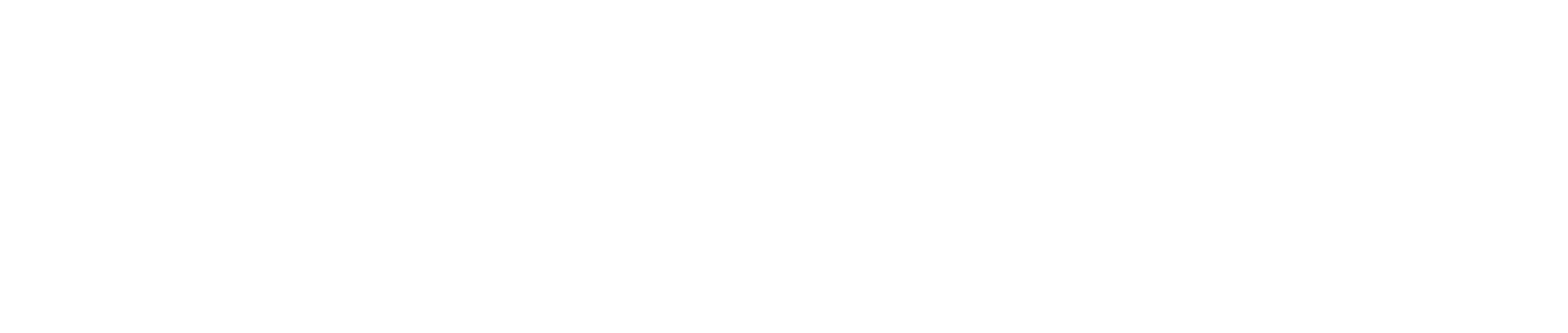 Partner 6 Logo