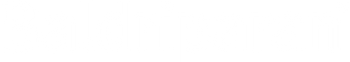 Partner 3 Logo